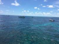 Great day of scuba diving in Key Largo with Rainbow Reef on molasses reef tropical odyssey 2016 06 29 r2997 1