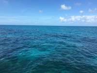 Great day of scuba diving in Key Largo with Rainbow Reef on north dry rocks tropical adventure 2016 06 30 r3001 1