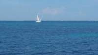 Great day of scuba diving in Key Largo with Rainbow Reef on pickles reef tropical odyssey 2016 06 12 r2908 1