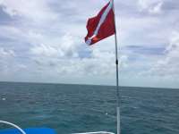 Great day of scuba diving in Key Largo with Rainbow Reef on snapper ledge tropical odyssey 2016 06 20 r2956 1