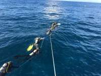 Great day of scuba diving in Key Largo with Rainbow Reef on spiegel grove tropical adventure 2016 06 26 r2981 2