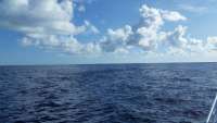 Great day of scuba diving in Key Largo with Rainbow Reef on spiegel grove tropical explorer 2016 06 22 r2959 1