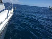 Great day of scuba diving in Key Largo with Rainbow Reef on spiegel grove tropical explorer 2016 06 23 r2967 1