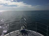 Great day of scuba diving in Key Largo with Rainbow Reef on spiegel grove tropical odyssey 2016 06 11 r2898 1