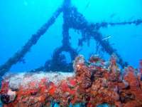 Great day of scuba diving in Key Largo with Rainbow Reef on spiegel grove tropical odyssey 2016 06 14 r2919 1