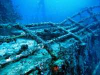 Great day of scuba diving in Key Largo with Rainbow Reef on spiegel grove tropical odyssey 2016 06 16 r2930 3