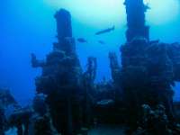 Great day of scuba diving in Key Largo with Rainbow Reef on spiegel grove tropical odyssey 2016 06 16 r2930 4
