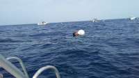 Great day of scuba diving in Key Largo with Rainbow Reef on spiegel grove tropical odyssey 2016 06 18 r2942 1