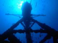 Great day of scuba diving in Key Largo with Rainbow Reef on uscgc duane tropical odyssey 2016 06 17 r2935 2