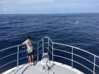 Great day of scuba diving in Key Largo with Rainbow Reef on uscgc duane tropical odyssey 2016 06 27 r2987 1