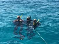 Great day of scuba diving in Key Largo with Rainbow Reef on banana patch tropical odyssey 2016 03 16 r2603 1