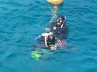 Great day of scuba diving in Key Largo with Rainbow Reef on benwood wreck tropical legend 2016 03 14 r2590 2