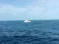 Great day of scuba diving in Key Largo with Rainbow Reef on benwood wreck tropical odyssey 2016 03 27 r2655 1