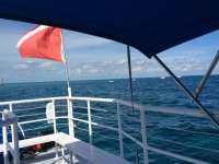 Great day of scuba diving in Key Largo with Rainbow Reef on fire coral cave tropical adventure 2016 03 01 r2562 1