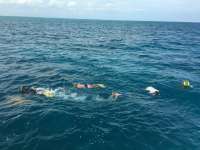 Great day of scuba diving in Key Largo with Rainbow Reef on french reef tropical adventure 2016 03 04 r2570 1
