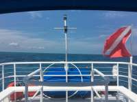 Great day of scuba diving in Key Largo with Rainbow Reef on french reef tropical adventure 2016 03 18 r2613 1