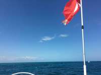 Great day of scuba diving in Key Largo with Rainbow Reef on french reef tropical odyssey 2016 03 14 r2591 1