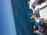 Great day of scuba diving in Key Largo with Rainbow Reef on french reef tropical voyager 2016 03 14 r2592 1
