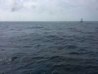 Great day of scuba diving in Key Largo with Rainbow Reef on molasses deep tropical legend 2016 03 27 r2656 1