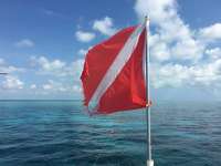 Great day of scuba diving in Key Largo with Rainbow Reef on molasses reef tropical adventure 2016 03 17 r2607 1