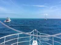 Great day of scuba diving in Key Largo with Rainbow Reef on molasses reef tropical legend 2016 03 16 r2600 1
