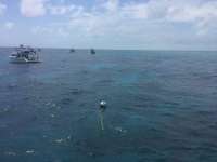 Great day of scuba diving in Key Largo with Rainbow Reef on molasses reef tropical legend 2016 03 31 r2673 1