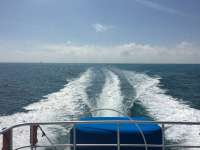 Great day of scuba diving in Key Largo with Rainbow Reef on molasses reef tropical odyssey 2016 03 16 r2601 1