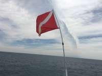 Great day of scuba diving in Key Largo with Rainbow Reef on molasses reef tropical odyssey 2016 03 21 r2626 1