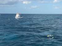 Great day of scuba diving in Key Largo with Rainbow Reef on molasses reef tropical odyssey 2016 03 23 r2634 1