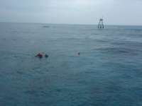 Great day of scuba diving in Key Largo with Rainbow Reef on molasses reef tropical odyssey 2016 03 25 r2641 1