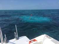 Great day of scuba diving in Key Largo with Rainbow Reef on molasses reef tropical odyssey 2016 03 26 r2649 2