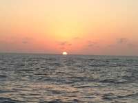 Great day of scuba diving in Key Largo with Rainbow Reef on molasses reef tropical odyssey 2016 03 31 r2674 1