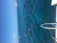 Great day of scuba diving in Key Largo with Rainbow Reef on molasses reef tropical voyager 2016 03 15 r2597 1