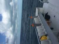 Great day of scuba diving in Key Largo with Rainbow Reef on molasses reef tropical voyager 2016 03 23 r2635 1