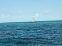 Great day of scuba diving in Key Largo with Rainbow Reef on north star tropical odyssey 2016 03 14 r2588 1