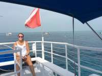 Great day of scuba diving in Key Largo with Rainbow Reef on permit ledges tropical adventure 2016 03 29 r2661 1