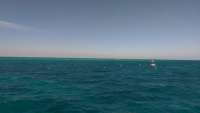 Great day of scuba diving in Key Largo with Rainbow Reef on permit ledges tropical voyager 2016 03 06 r2578 1