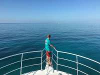 Great day of scuba diving in Key Largo with Rainbow Reef on pickles reef tropical legend 2016 03 15 r2594 1