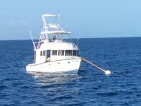 Great day of scuba diving in Key Largo with Rainbow Reef on rebreather spiegel tropical adventure 2016 03 30 r2666 1