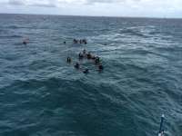 Great day of scuba diving in Key Largo with Rainbow Reef on sand island tropical adventure 2016 03 30 r2668 1