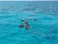 Great day of scuba diving in Key Largo with Rainbow Reef on snapper ledge tropical adventure 2016 03 28 r2660 1