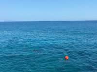 Great day of scuba diving in Key Largo with Rainbow Reef on snapper ledge tropical legend 2016 03 15 r2596 1