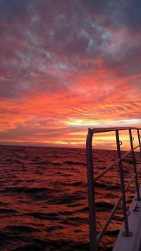Great day of scuba diving in Key Largo with Rainbow Reef on snapper ledge tropical odyssey 2016 03 05 r2574 1