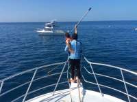 Great day of scuba diving in Key Largo with Rainbow Reef on spiegel grove tropical adventure 2016 03 15 r2595 2