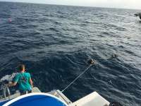 Great day of scuba diving in Key Largo with Rainbow Reef on spiegel grove tropical adventure 2016 03 27 r2652 1