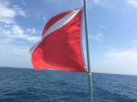 Great day of scuba diving in Key Largo with Rainbow Reef on spiegel grove tropical adventure 2016 03 28 r2657 1