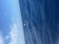 Great day of scuba diving in Key Largo with Rainbow Reef on spiegel grove tropical explorer 2016 03 31 r2670 1