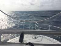 Great day of scuba diving in Key Largo with Rainbow Reef on spiegel grove tropical legend 2016 03 27 r2654 1