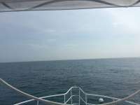 Great day of scuba diving in Key Largo with Rainbow Reef on spiegel grove tropical legend 2016 03 29 r2662 1