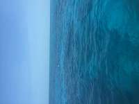 Great day of scuba diving in Key Largo with Rainbow Reef on spiegel grove tropical voyager 2016 03 26 r2647 1